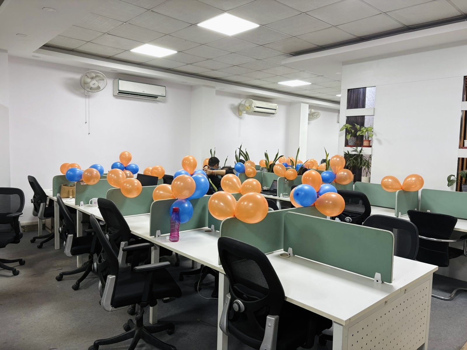 Office celebration